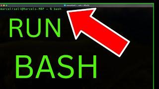 How to Run Bash in Terminal on Mac