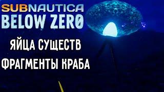 ОБНОВЛЕНИЕ 36162 (ЯЙЦА СУЩЕСТВ / НОВОЕ РАСПОЛОЖЕНИЕ ФРАГМЕНТОВ) | Subnautica: Below Zero