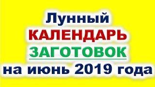 Лунный календарь заготовок на июнь 2019 года. Когда лучше консервировать, сушить плоды и ягоды?