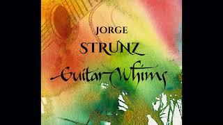 Jorge Strunz - Aires del Rio