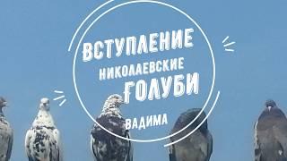 Вступительное видео канала