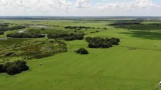Fort Ogden Ranch - 880 +/- Acre Cattle Ranch FOR SALE in Arcadia, Florida
