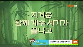 All SpongeBob Time Cards in Korean (UPDATE)/한국어로 된 모든 스폰지밥 시간 카드 (업데이트)