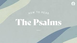 171. How to Read the Psalms | Week 1 | Discover the Word Podcast | @Our Daily Bread