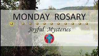 Monday Rosary • Joyful Mysteries of the Rosary  October 21, 2024 VIRTUAL ROSARY - MEDITATION