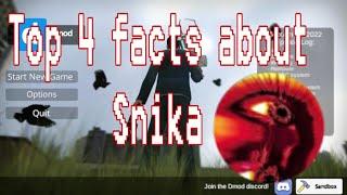 Top 3 Facts About Snika (I'm not developer, please stop calling me dev)