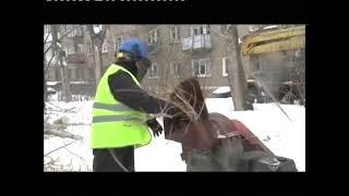 В Первоуральске начали кронировать старые тополя