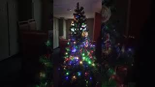 DonaldPLAYS CHRISTMAS TREE!!! : ) #shorts #christmastree #donaldplays #subscribe