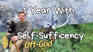 One Year With Self-Sufficiency Off-Grid | Alone In The Forest