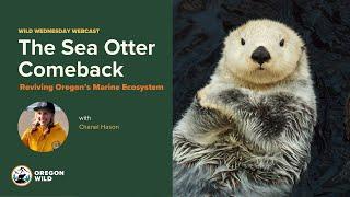 Webcast: The Sea Otter Comeback