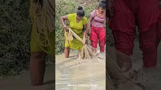 Amazing Village Women Net Fishing #shorts #fishing #reels