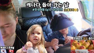 캐나다 돌아 가는 날  Last Day In Korea #국제커플 #한국여행 #눈물바다