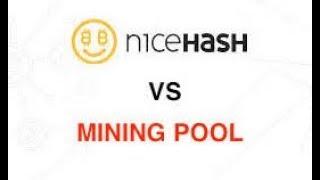 Nicehash vs Pool. Что выгоднее?