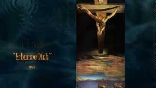 Nicholas Spanos - "Erbarme Dich" by J. S. Bach