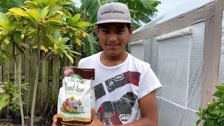 Espoma Fertilizer Series #2 How To Use Plant Tone!!//Ultimate Gardening
