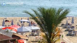 Cleopatra Golden Beach Hotel 3 Hotel Alanya Turkey