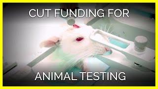 Cut Funding for Cruel Experiments on Animals