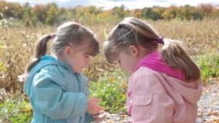 Pumpkin Picking 2010