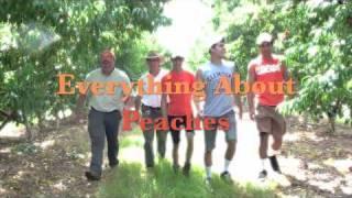 SC Peach History & Field Day - Everything About Peaches