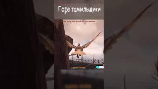 Горе тамильщики | ARK shorts