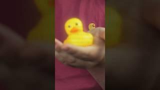 Why Programmers use Rubber Ducks ‍#technology #programmer #computerprogrammer #softwaredeveloper