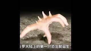 人類起源的驚悚真相：從一根手指到現代文明 #人類起源