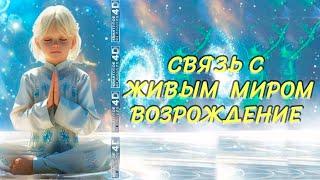 СВЯЗЬ С ЖИВЫМ  МИРОМ-ВОЗРОЖДЕНИЕ/ CONNECTION WITH THE LIVING WORLD - REVIVAL