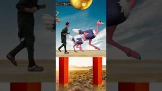 TJ Islamic Animation And Vfx Video  #islamic #tjsohail #shorts #viral #trending