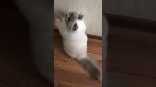 БЭЛЬ-"красота и молодость они не..."
