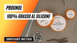 Grasso al silicone PROUNOL | Per cosa si può usare il lubrificante al silicone multiuso?