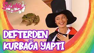 Kıvılcım defteri kurbağaya çevirdi - Selena Sahneler