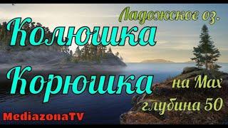 Русская Рыбалка 4 Ладожское оз  Колюшка Корюшка на Мах 21 09 23