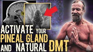 The SIMPLEST WAY to ACTIVATE your PINEAL GLAND and NATURAL BOOST OF DMT - With WIM HOF