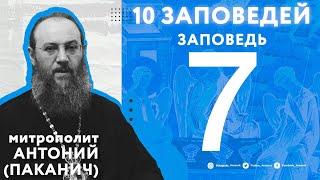 10 заповедей Божиих. 7 заповедь | Митрополит Антоний (Паканич) | ТЕОВЛОГ