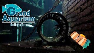 Visiting the Tourraine’s Aquarium | Crazydivers