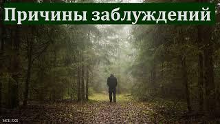 "Причины заблуждений". П. Ф. Янцен. МСЦ ЕХБ