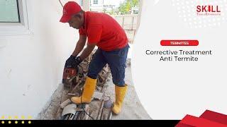 Corrective Treatment - Anti Termite