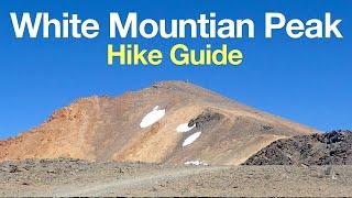 Hike White Mountain Peak (California) - HikingGuy.com