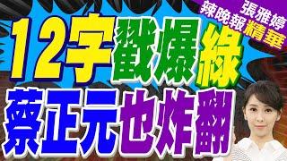 盧秀燕嗆綠"胡作非為.官逼民反.天怒人怨!" 蔡正元讚盧:講話鏗鏘有聲 | 綠營驚爆「15萬份連署違規」 羅智強氣炸嗆爆民進黨 蔡正元:講的好!【張雅婷辣晚報】精華版@中天新聞CtiNews
