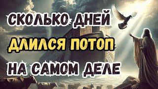 Потоп: 40 дней или больше? Реальная продолжительность катастрофы | Христианская моривация