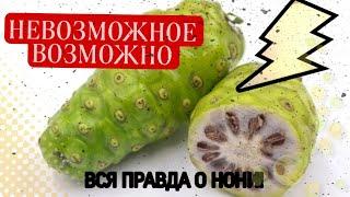 ШОК: в это невозможно поверить! ВРАЧ о соке Нони #сокнони #результаты #лучшее #здоровье