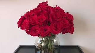 How to take care of fresh cut roses? Tips from Globalrose.com