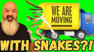 I'm moving!... With a LOT of snakes.