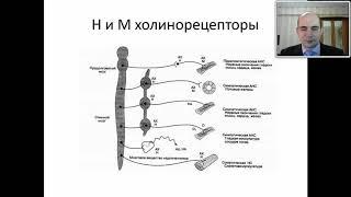 5  Общая психофармакология