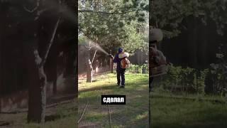 Прибыльный бизнес! Обработка участков от клещей и комаров #дезинсекция #дача #загородныйдом #клещи
