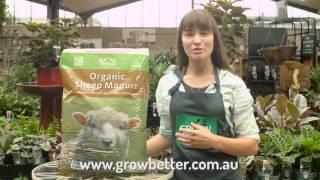 Grow Better Sheep Manure