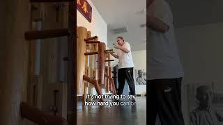 Wing Chun Dummy Tips