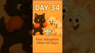 DAY-34new born kittensFree ADOPTION after 100 days.. read full description. #newbornkitten