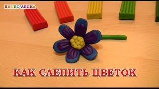 Цветок из пластилина | Видео Лепка