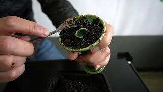 HookahJohn Alien 2022 Hookah Bowl Review